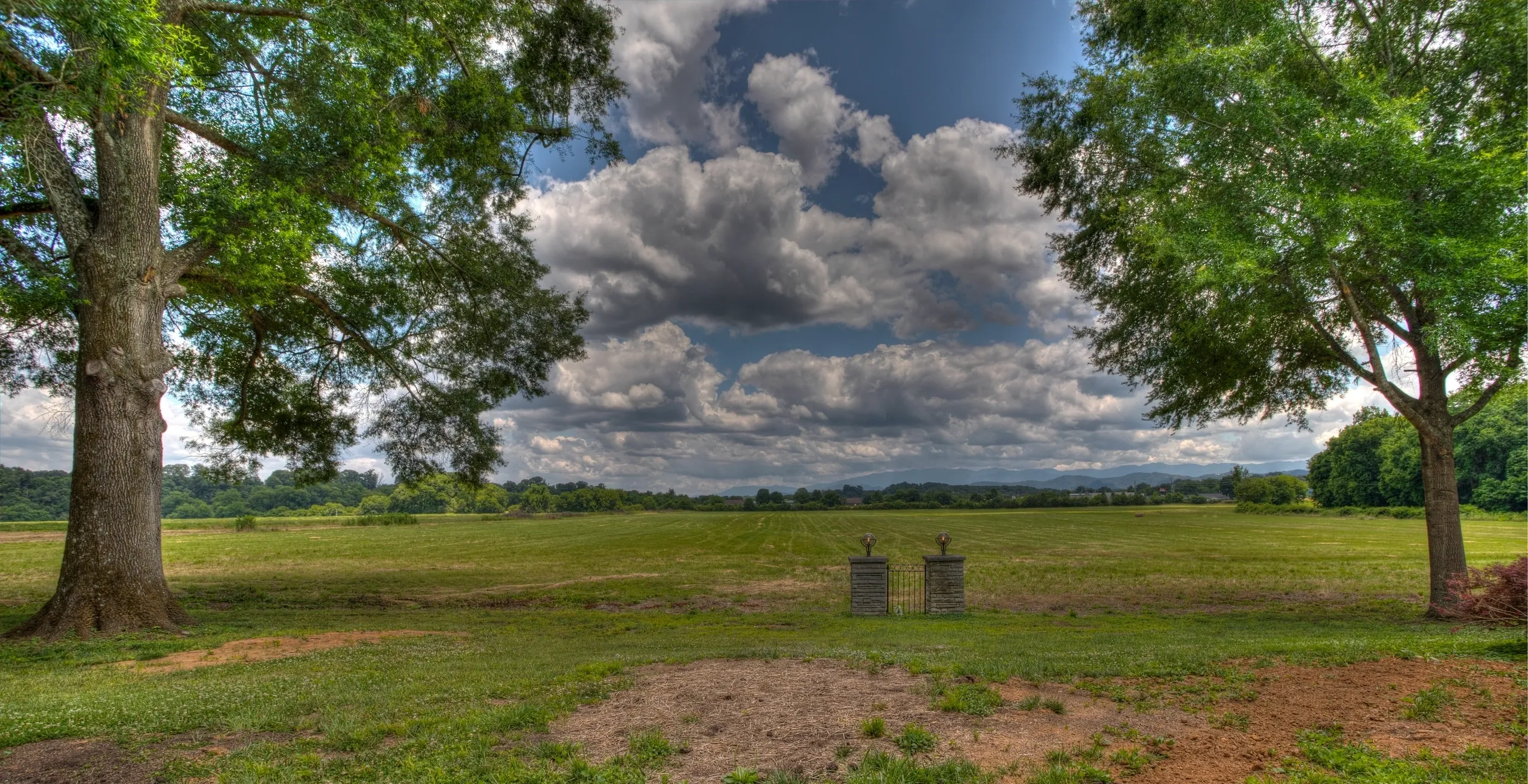 Open field with trees under cloudy sky.