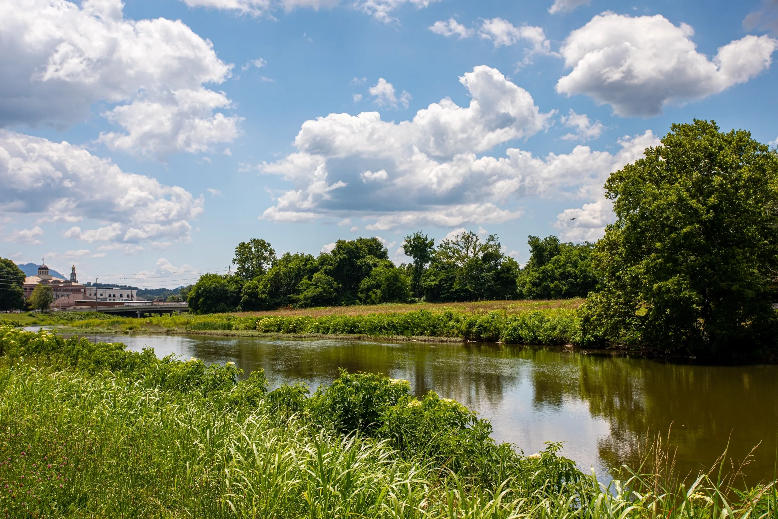 River landscape with trees and cloudy sky.