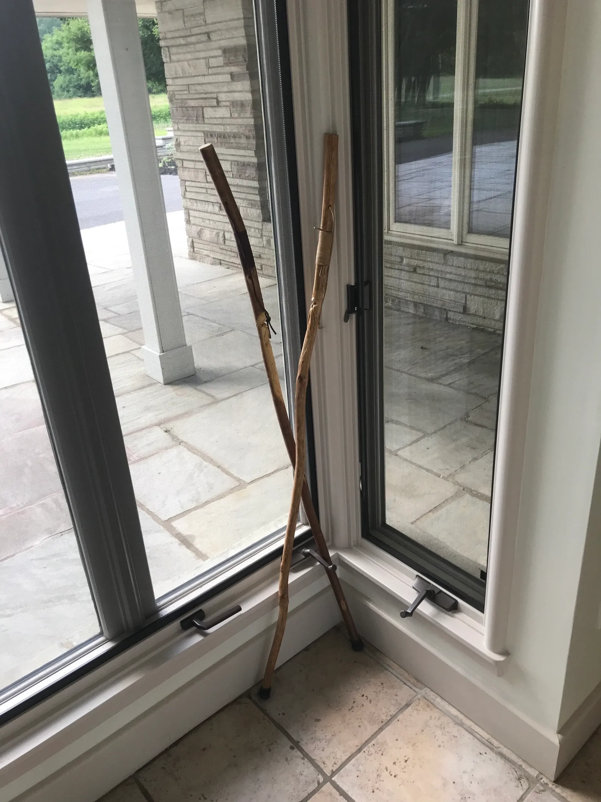 Walking sticks leaning against glass window.